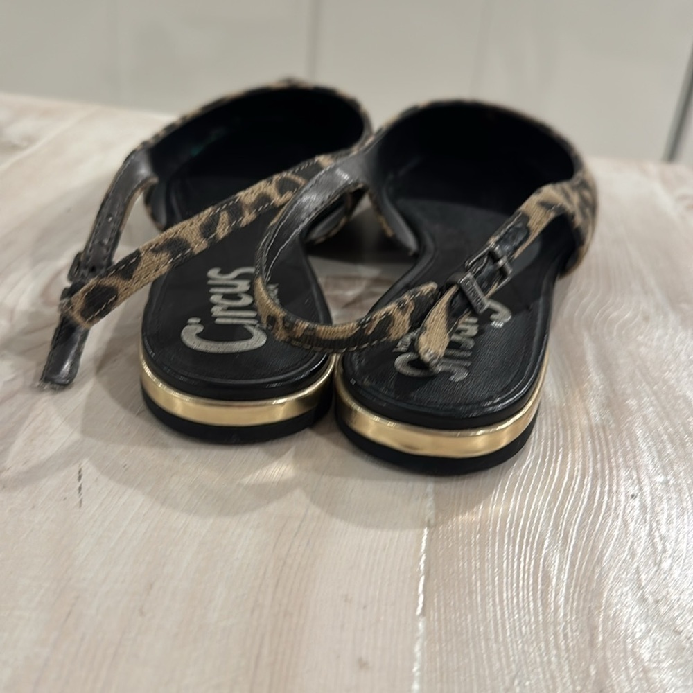 Circus Sam Edel slingbacks - Picture 7 of 8
